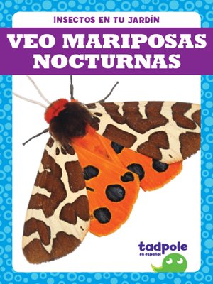 cover image of Veo mariposas nocturnas (I See Moths)